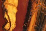 Polished Desert Sunset Banded Iron - Western Australia #96241-1